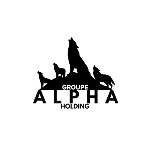 A propos 2 alpha group holding